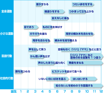 マタニティ スクスク成長カレンダー